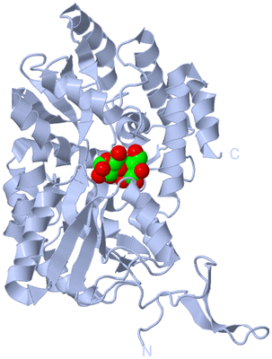 Image Biological Unit 1