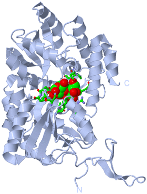 Image Biol. Unit 1 - sites