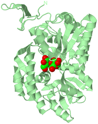 Image Biological Unit 2