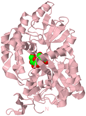 Image Biological Unit 3