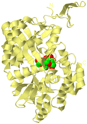 Image Biological Unit 4