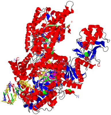 Image Asym./Biol. Unit