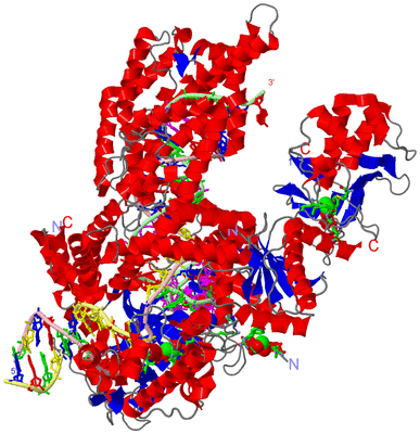 Image Asym./Biol. Unit - sites