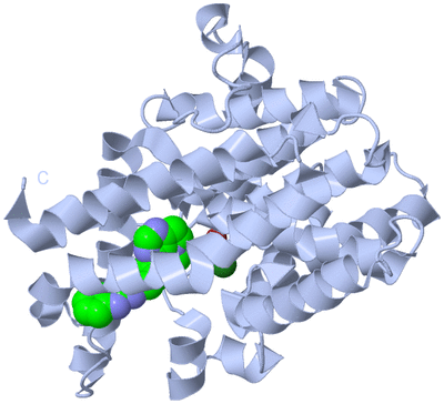 Image Biological Unit 1