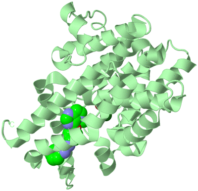 Image Biological Unit 2