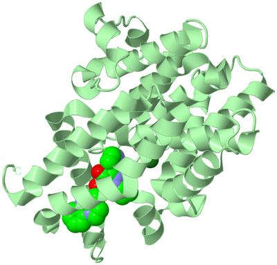 Image Biological Unit 2