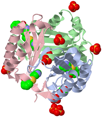 Image Asym./Biol. Unit