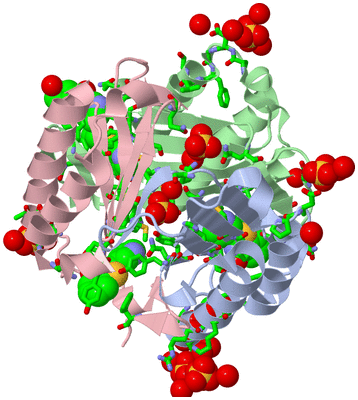 Image Asym./Biol. Unit - sites