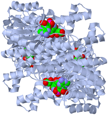 Image Biological Unit 1