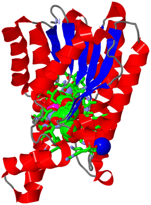 Image Asym. Unit - sites