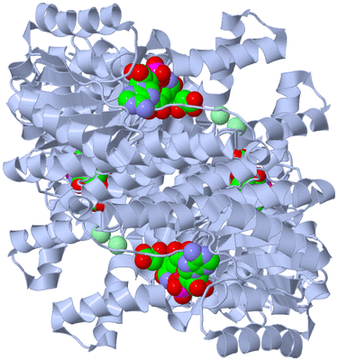 Image Biological Unit 1