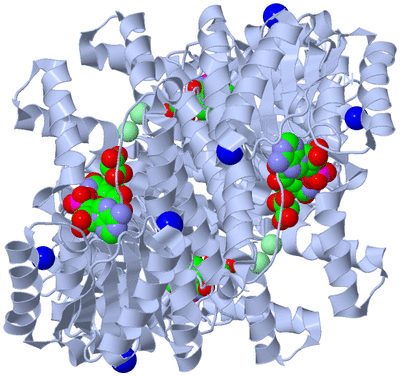 Image Biological Unit 1