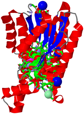 Image Asym. Unit - sites