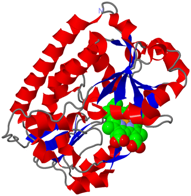 Image Asym./Biol. Unit