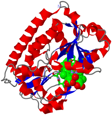 Image Asym./Biol. Unit - sites