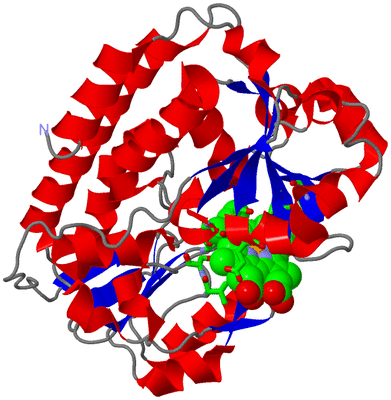 Image Asym./Biol. Unit - sites