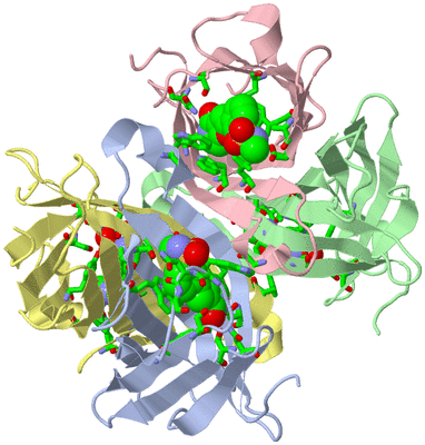 Image Asym./Biol. Unit - sites