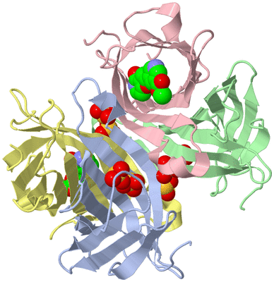 Image Asym./Biol. Unit