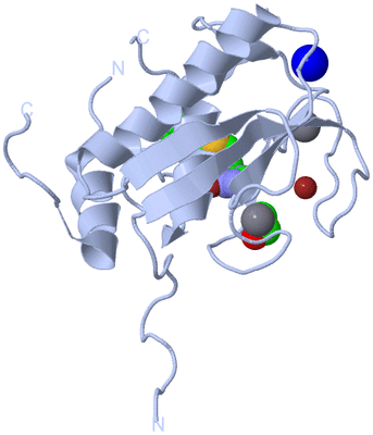 Image Biological Unit 1