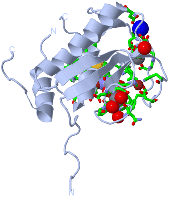 Image Biol. Unit 1 - sites