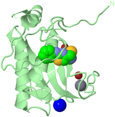 Image Biological Unit 2