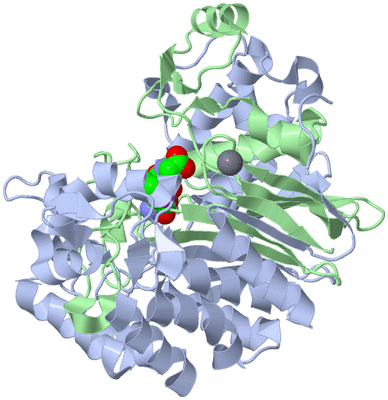 Image Biological Unit 1