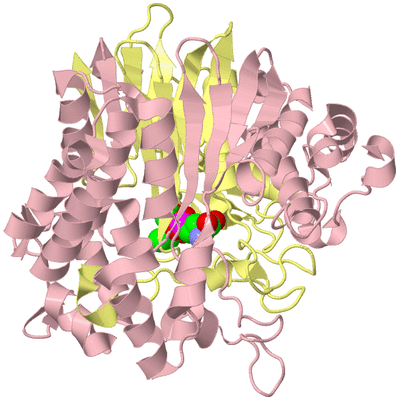 Image Biological Unit 2