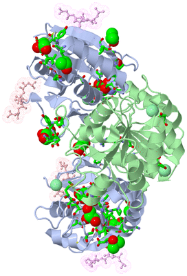 Image Biol. Unit 1 - sites