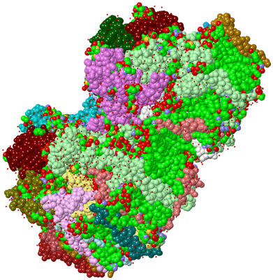 Image Asym./Biol. Unit - sites