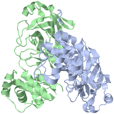 Image Asym./Biol. Unit