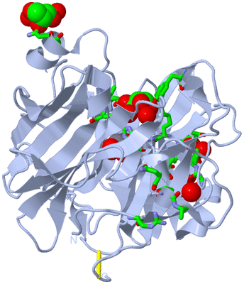 Image Biol. Unit 1 - sites