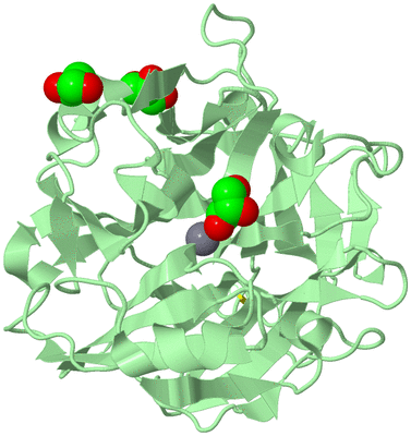 Image Biological Unit 2