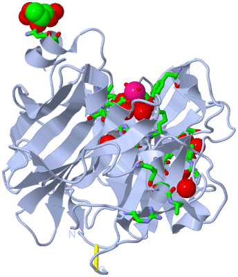 Image Biol. Unit 1 - sites