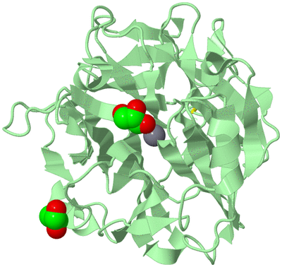 Image Biological Unit 2