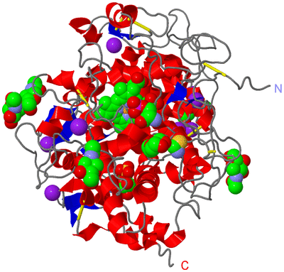 Image Asym./Biol. Unit