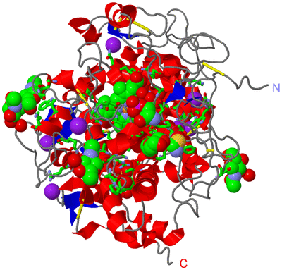 Image Asym./Biol. Unit - sites