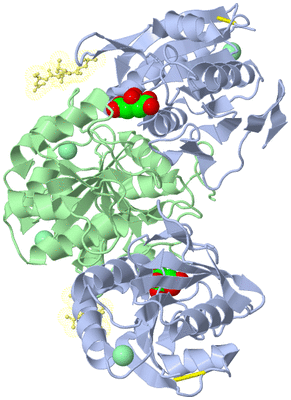 Image Biological Unit 1