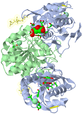 Image Biol. Unit 1 - sites