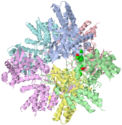 Image Asym./Biol. Unit