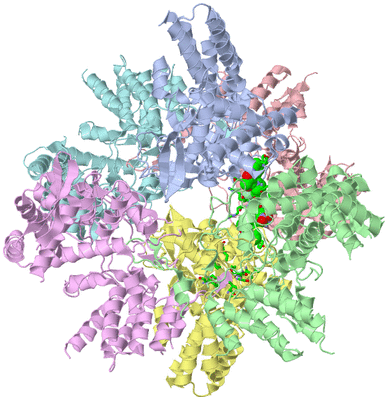 Image Asym./Biol. Unit - sites