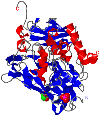 Image Asym./Biol. Unit