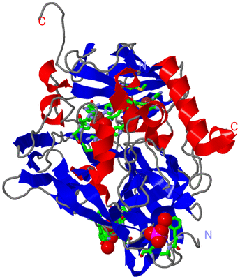 Image Asym./Biol. Unit - sites