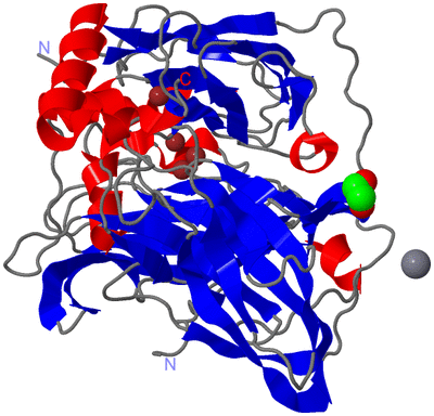 Image Asym./Biol. Unit