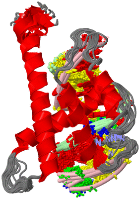 Image NMR Structure - all models
