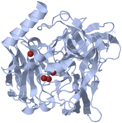 Image Biological Unit 1