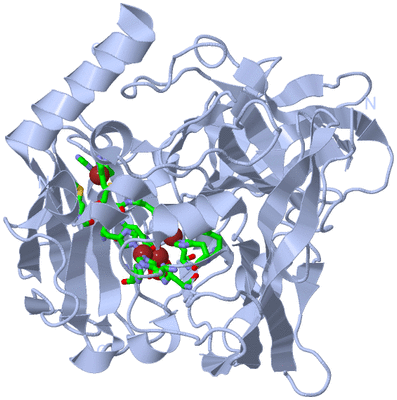 Image Biol. Unit 1 - sites