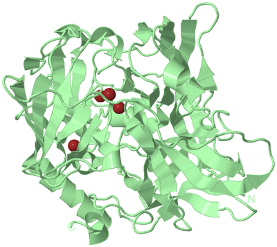 Image Biological Unit 2