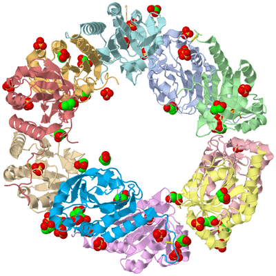 Image Asym./Biol. Unit