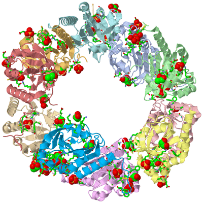 Image Asym./Biol. Unit - sites