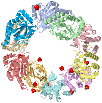 Image Asym./Biol. Unit